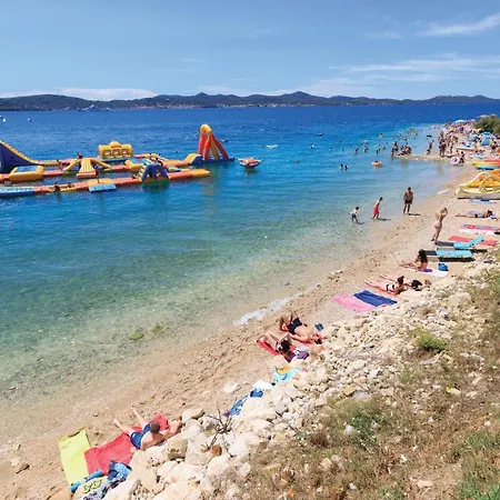 In With Wifi * Maslenica